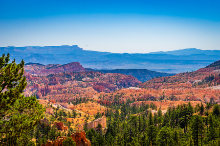 The Bryce Canyon National Park Utah United States.の写真素材
