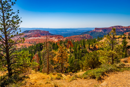 The Bryce Canyon National Park Utah United States.の写真素材