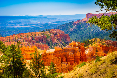 The Bryce Canyon National Park Utah United States.の写真素材