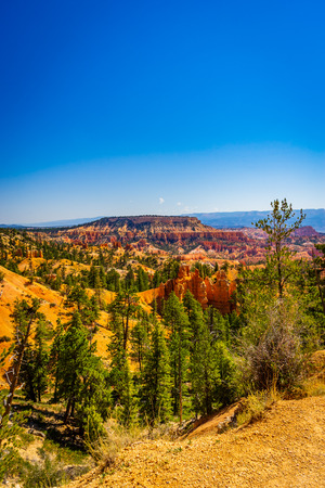 The Bryce Canyon National Park Utah United States.の写真素材