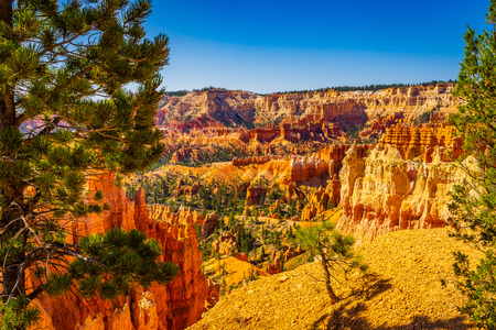 The Bryce Canyon National Park Utah United States.の写真素材