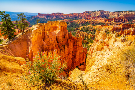 The Bryce Canyon National Park Utah United States.の写真素材
