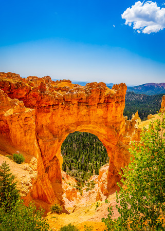 The Bryce Canyon National Park Utah United States.の写真素材