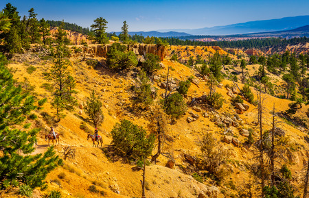 The Bryce Canyon National Park Horse trail Utah United States.の写真素材