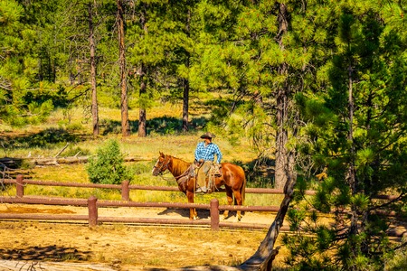 The Bryce Canyon National Park, Utah US - July 27 2016 Horse trail , United Statesのeditorial素材