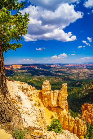 The Bryce Canyon National Park Utah United States.の写真素材