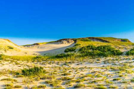 Sand Dunes and Grass of the Provincelands Cape Cod MA USの写真素材