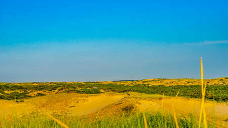 Sand Dunes and Grass of the Provincelands Cape Cod MA USの写真素材