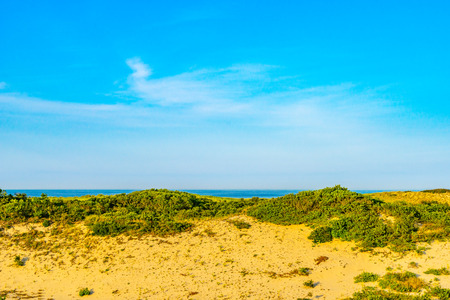 Sand Dunes and Grass of the Provincelands Cape Cod MA USの写真素材