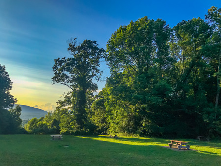 Picnic place in forest New Jersey US.の写真素材