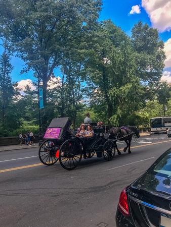 New York City, Manhattan, United States -July, 2018 Central Park, W 59 street corner 6 Avenue.のeditorial素材