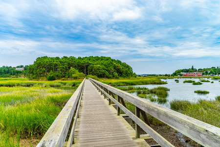Uncle Tim's Bridge, Wellfleet, Cape Cod, MA USの写真素材