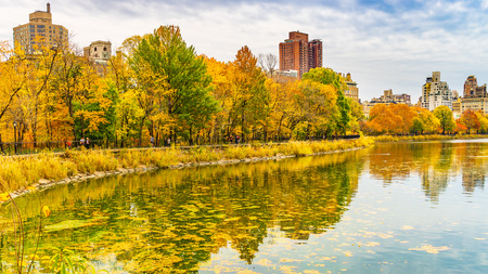 A view of the Central Park in New York in November.の写真素材