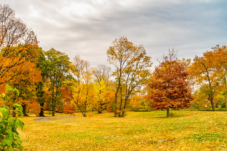A view of the Central Park in New York in November.の写真素材