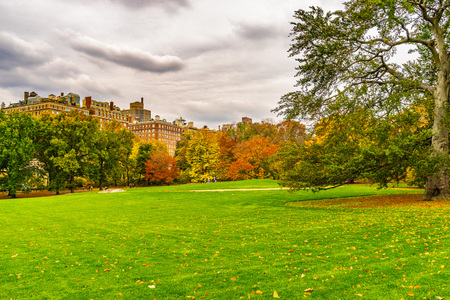 A view of the Central Park in New York in November.の写真素材