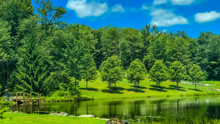 Park with a small pond Pennsylvania US.の写真素材
