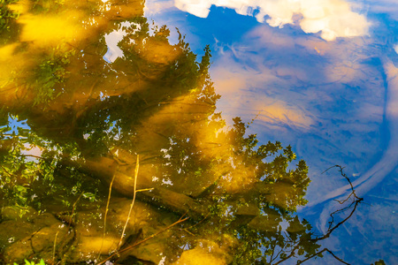Reflection in the water of the sky and the bottom of the riverの写真素材