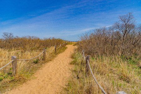 Passe through sand dunes, Staten Island NY US.の写真素材