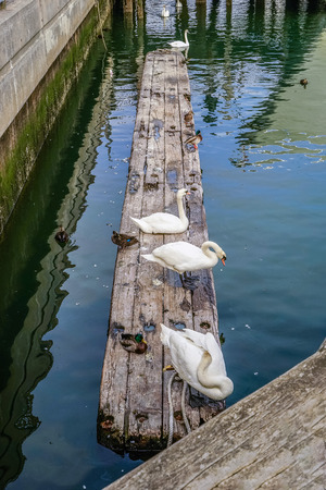 Sheepshead Bay, Brooklyn, US - Ocean Avenue Footbridgeの写真素材