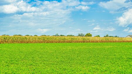 Amish country farm barn field agriculture in Lancaster, PAの写真素材