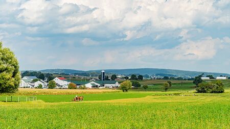 Amish country farm barn field agriculture in Lancaster, PAの写真素材