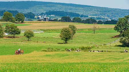 Amish country farm barn field agriculture in Lancaster, PAの写真素材
