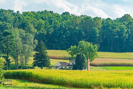 Amish country field agriculture, harvest, farm, barn in Lancaster, PA US.の写真素材