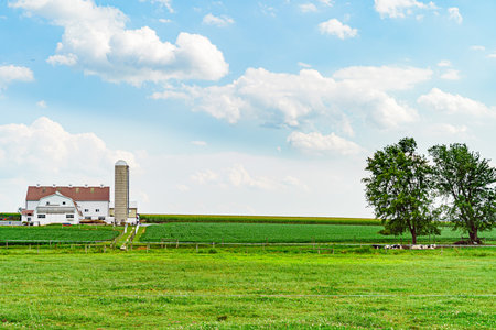 Amish country farm barn field agriculture in Lancaster, PAの写真素材
