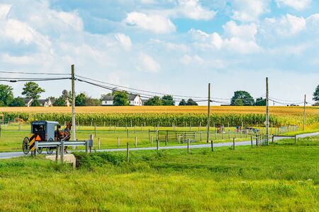 Amish country field agriculture, horse,harvest, farm, barn in Lancaster, PA USの写真素材