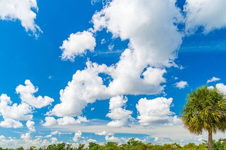 White cloud on blue sky in Florida, background, weatherの写真素材