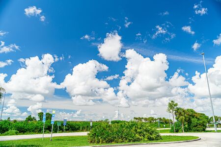 Everglades wetland in Florida, Everglades and Francis S. Taylor Wildlife Management Area.の写真素材