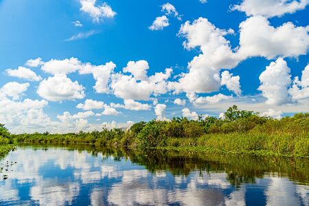 Everglades wetland in Florida, Everglades and Francis S. Taylor Wildlife Management Area.の写真素材