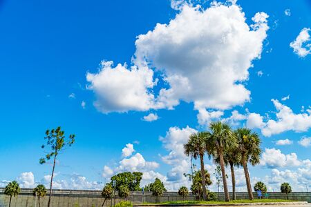 Everglades wetland in Florida, Everglades and Francis S. Taylor Wildlife Management Area.の写真素材