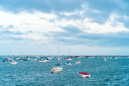 Provincetown, Cape Cod, Massachusetts, US - August 21, 2019 Catamaran and his crew looking for a whaleのeditorial素材