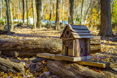 West Orange, NJ - November 9, 2020: fairy world in South Mountain Reservation in Essex County in New Jersey, USAのeditorial素材