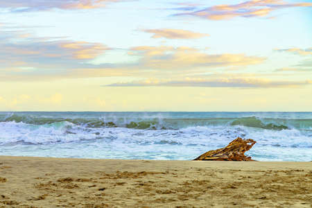 Sunrise at Playa Cocles, beautiful tropical Caribbean beach, Puerto Viejo, Costa Rica east coast and large tree rootの写真素材