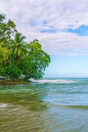 Pargue Nacional Cahuita, beautiful tropical Caribbean beach, Cahuita, Costa Rica east coastの写真素材