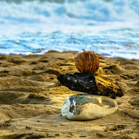 Sunrise at Playa Cocles, beautiful tropical Caribbean beach, Puerto Viejo, Costa Rica east coast, coconut, burnt piece of wood and stone on the beachの写真素材