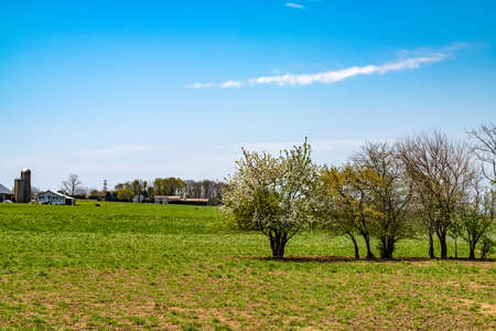 Amish country farm barn field agriculture in Lancaster, PA USの写真素材