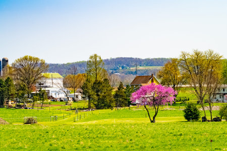 Amish country, farm, home and barn on field agriculture in Lancaster, Pennsylvania, PA US North...