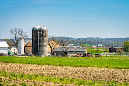 Amish country, farm, home and barn on field agriculture in Lancaster, Pennsylvania, PA US North Americaの写真素材