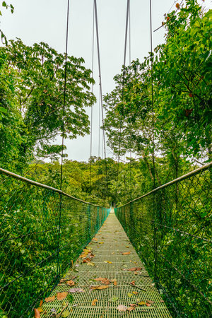 Suspension bridge and nature of Sky Adventures Arenal Park, La Fortuna, Costa Rica. Central Americaの写真素材