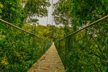 Suspension bridge and nature of Sky Adventures Arenal Park, La Fortuna, Costa Rica. Central Americaの写真素材