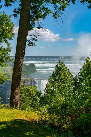 Niagara Falls, Queen Victoria Park, view of Niagara Falls through the trees, Canada. High quality photoの写真素材