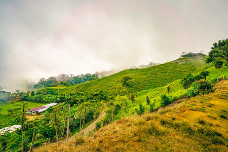 A pastoral landscape in Uvita, Puntarenas Province of Costa Rica, where lush hills are wrapped in a...