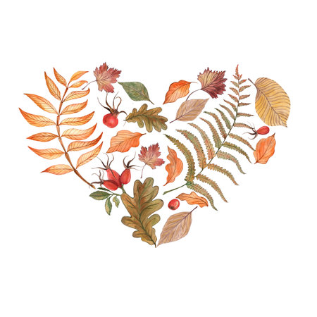 Autumn, rowan, fern, leaves, branch, berries, red, orange, yellow - a set of illustrations drawn in watercolor on a transparent background. for design and printing of textiles, fabric, clothing, cardの写真素材