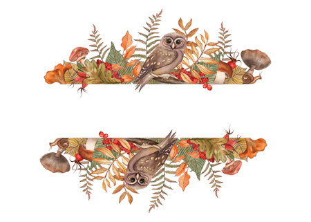 Rowan, rosehip, tree branch, mushrooms, leaves, fern, owl, autumn forest, frame, hand-drawn illustration in watercolor on a white background. Suitable for design cards, invitation, posters, holiday.の写真素材