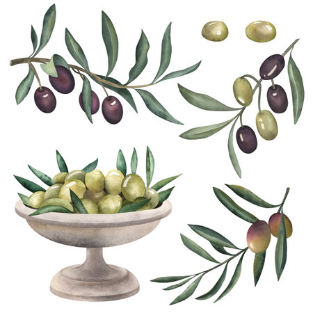 Olives, olive, branch, green, metal vase, olive oil, food, cooking. The illustration is painted in watercolor on a white background. For packaging design, textiles, fabrics, postcards, invitations.の写真素材