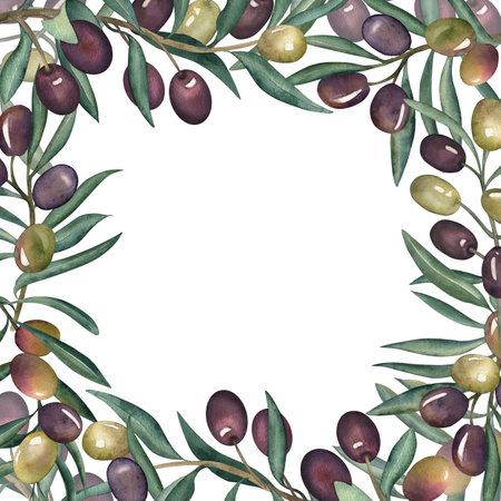Olives, olive branch, green, purple, square frame, olive oil, food, Greece. The illustration is painted in watercolor on a white background. For packaging design, textile, fabrics, cards, invitations.の写真素材
