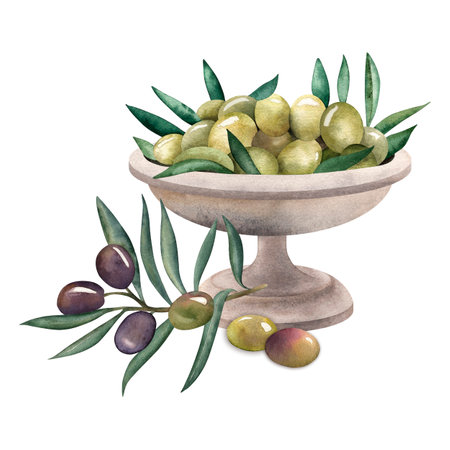 Green olives in a metal bowl. olive branch, purple. The illustration is hand-drawn in watercolor on a white background in the Greek style. Suitable for tableware design, textile, printing, postcards.の写真素材